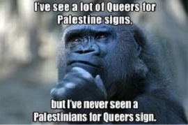 no palestinians for queers signs.jpg